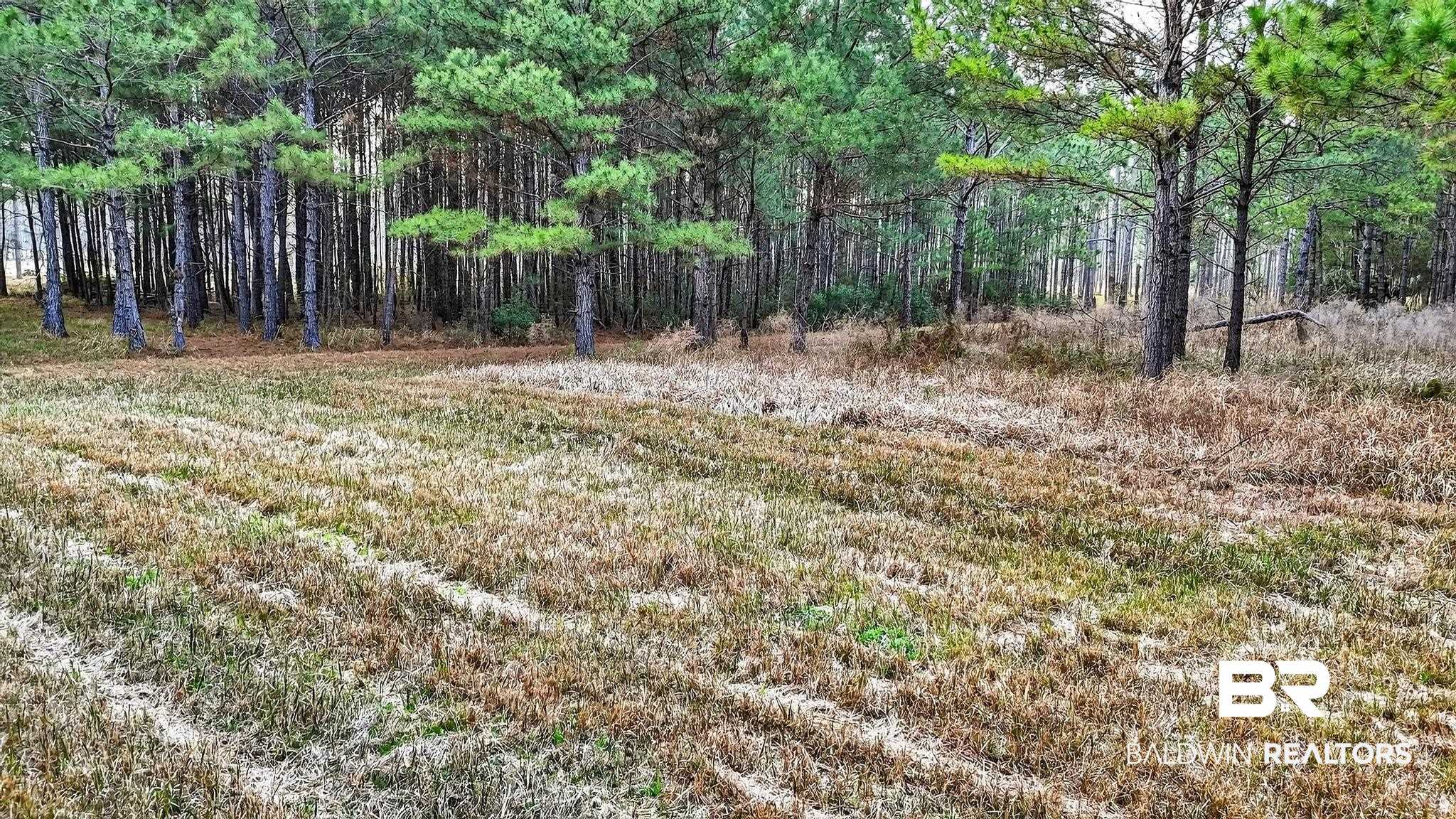 0 Hemley Road Bayou La Batre, AL 36509 - Photo 10 of 28