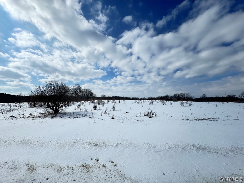 0 Orangeville Center Road Warsaw, NY 14569 - Photo 3 of 11