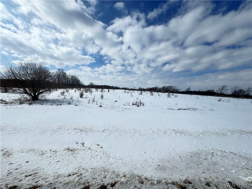 0 Orangeville Center Road Warsaw, NY 14569 - Photo 5 of 11