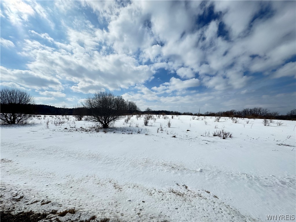 0 Orangeville Center Road Warsaw, NY 14569 - Photo 8 of 11