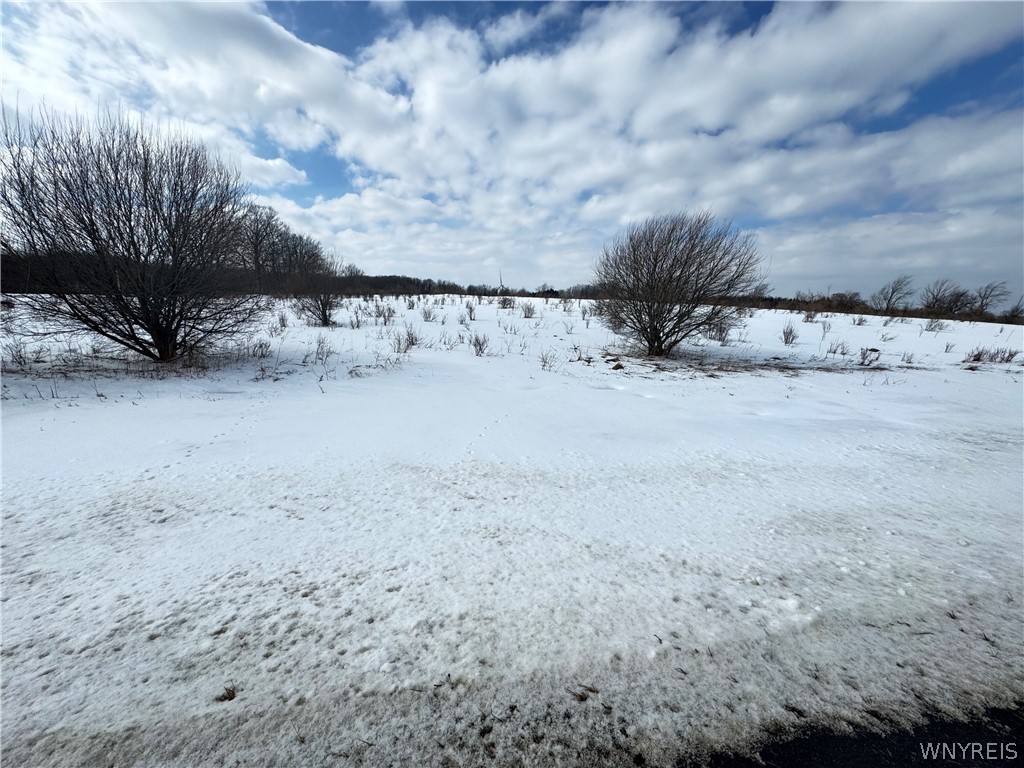 0 Orangeville Center Road Warsaw, NY 14569 - Photo 9 of 11