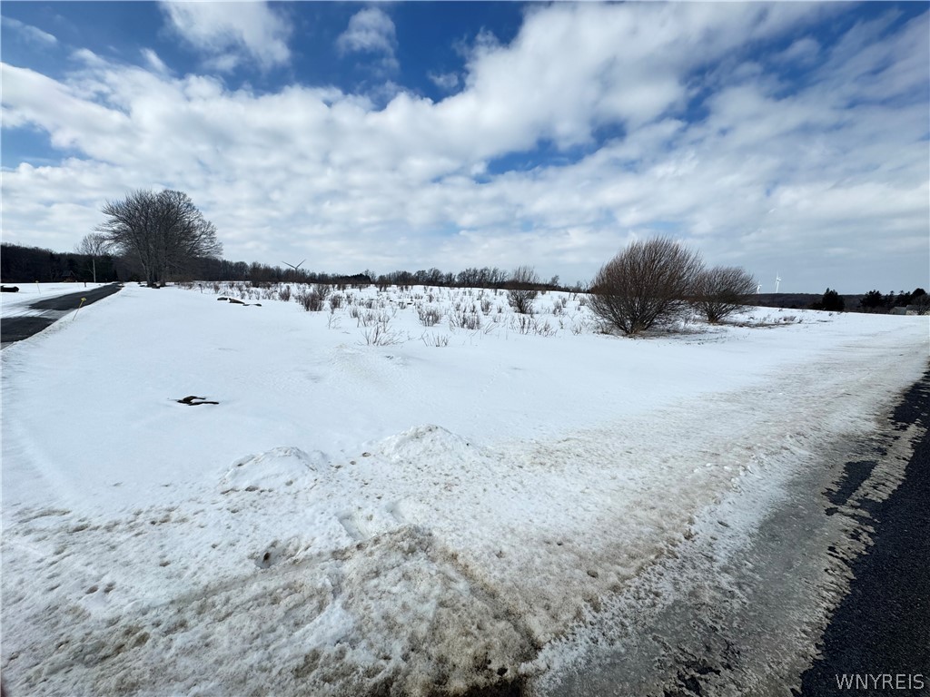 0 Orangeville Center Road Warsaw, NY 14569 - Photo 10 of 11