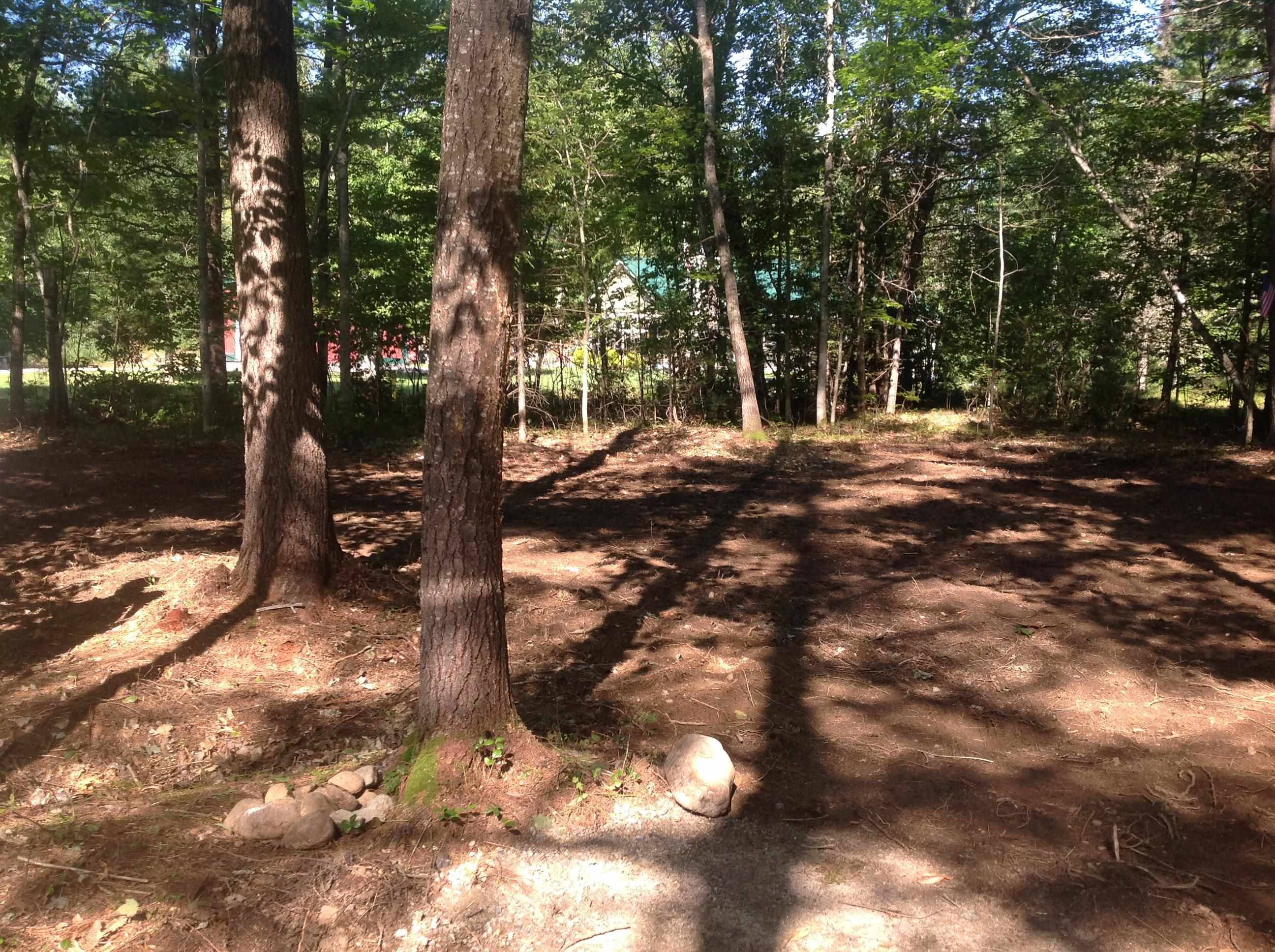 0 Birchwood Farm Road Freedom, NH 03836 - Photo 3 of 8