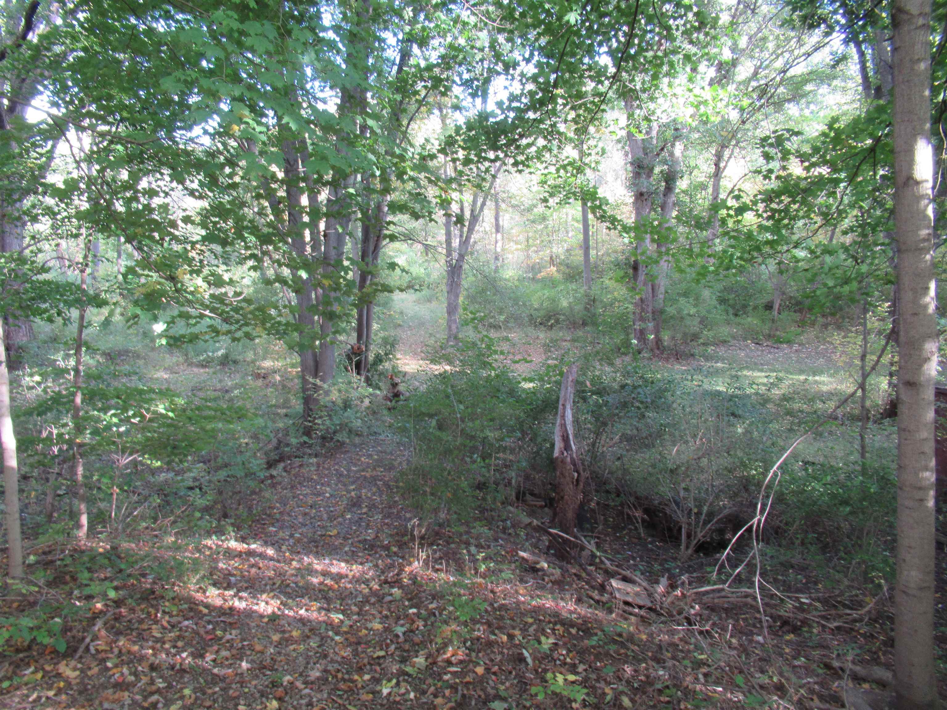 5162 North Seymour Road Flushing, MI 48433 - Photo 45 of 50 50124589-44.JPG