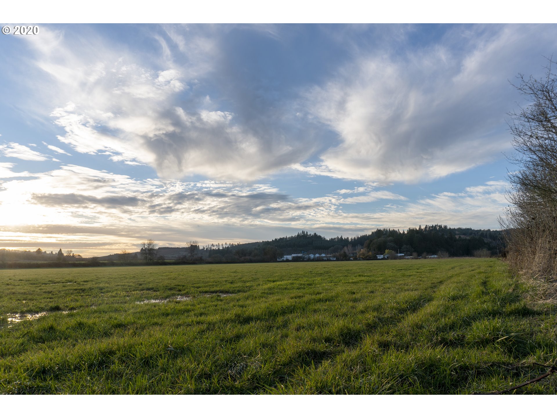0 Northeast Ribbon Ridge Road, Unit 200 Newberg, OR 97132 - Photo 7 of 9 Gallery Image 7