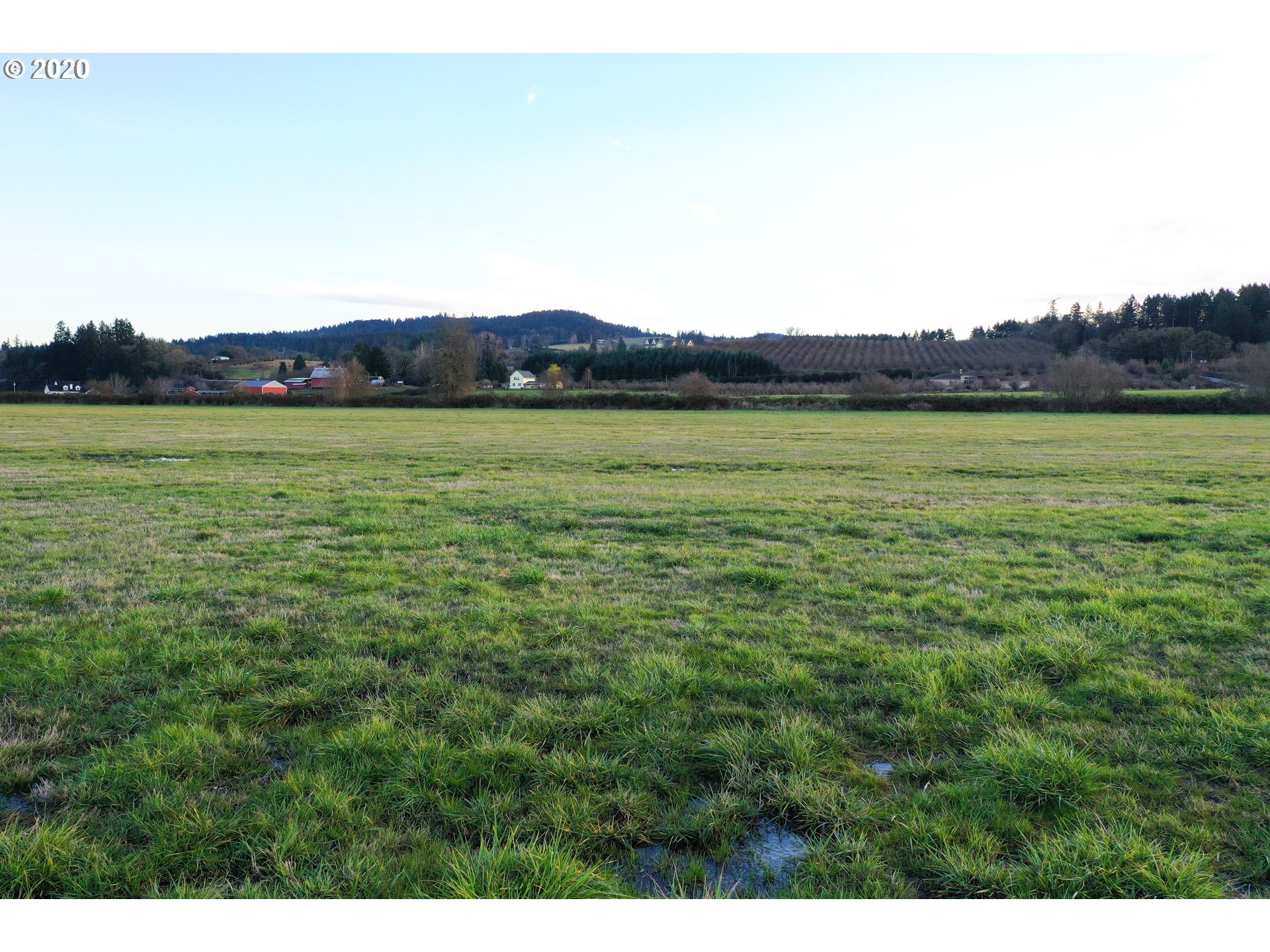 0 Northeast Ribbon Ridge Road, Unit 200 Newberg, OR 97132 - Photo 9 of 9 Gallery Image 9