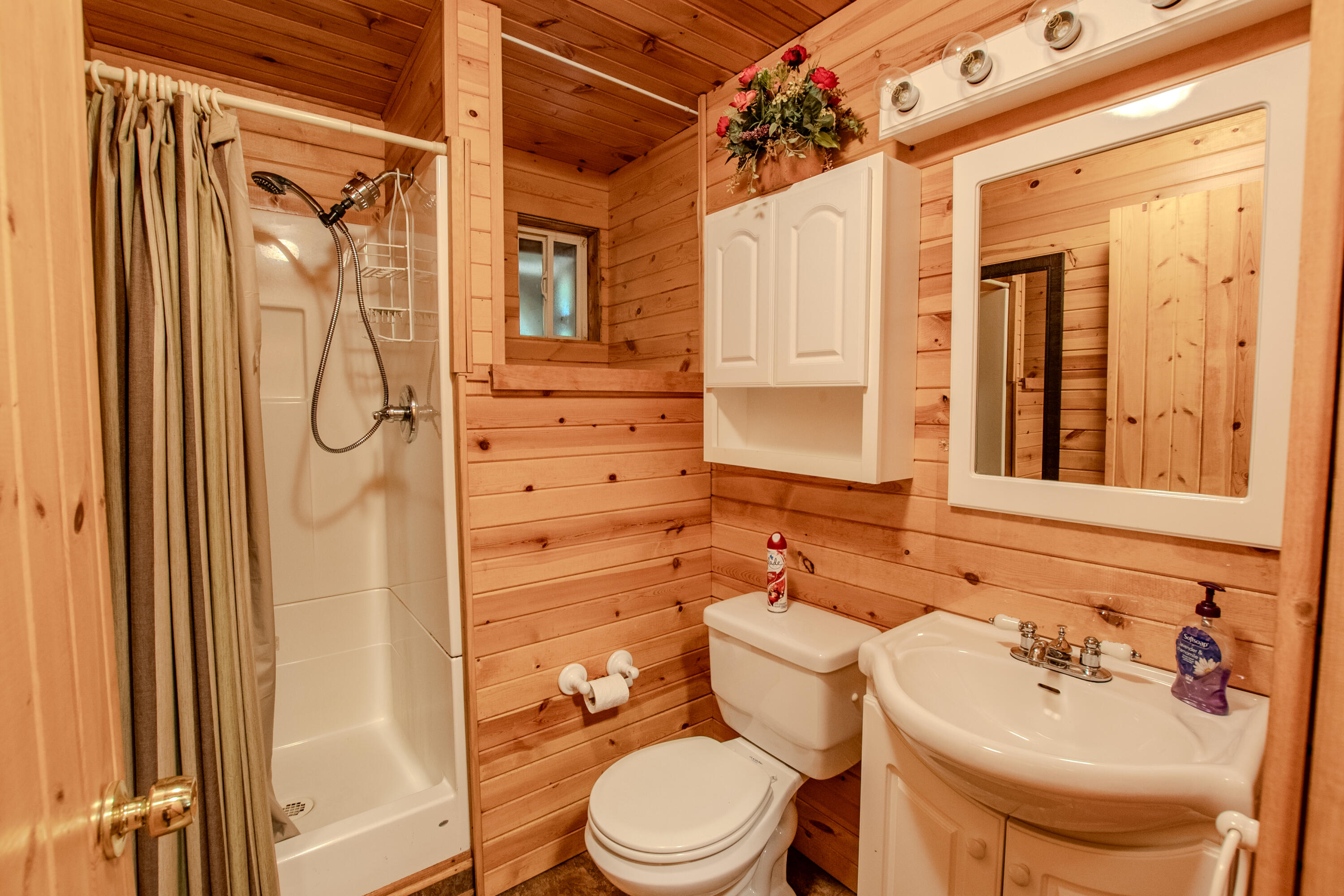 5896 Browns Road Lake, MI 48632 - Photo 15 of 21 SCO_1258-HDR