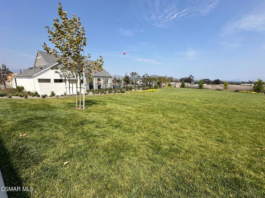 10726 Telegraph Road Ventura, CA 93004 - Photo 13 of 25 a view of a field with a tree in it