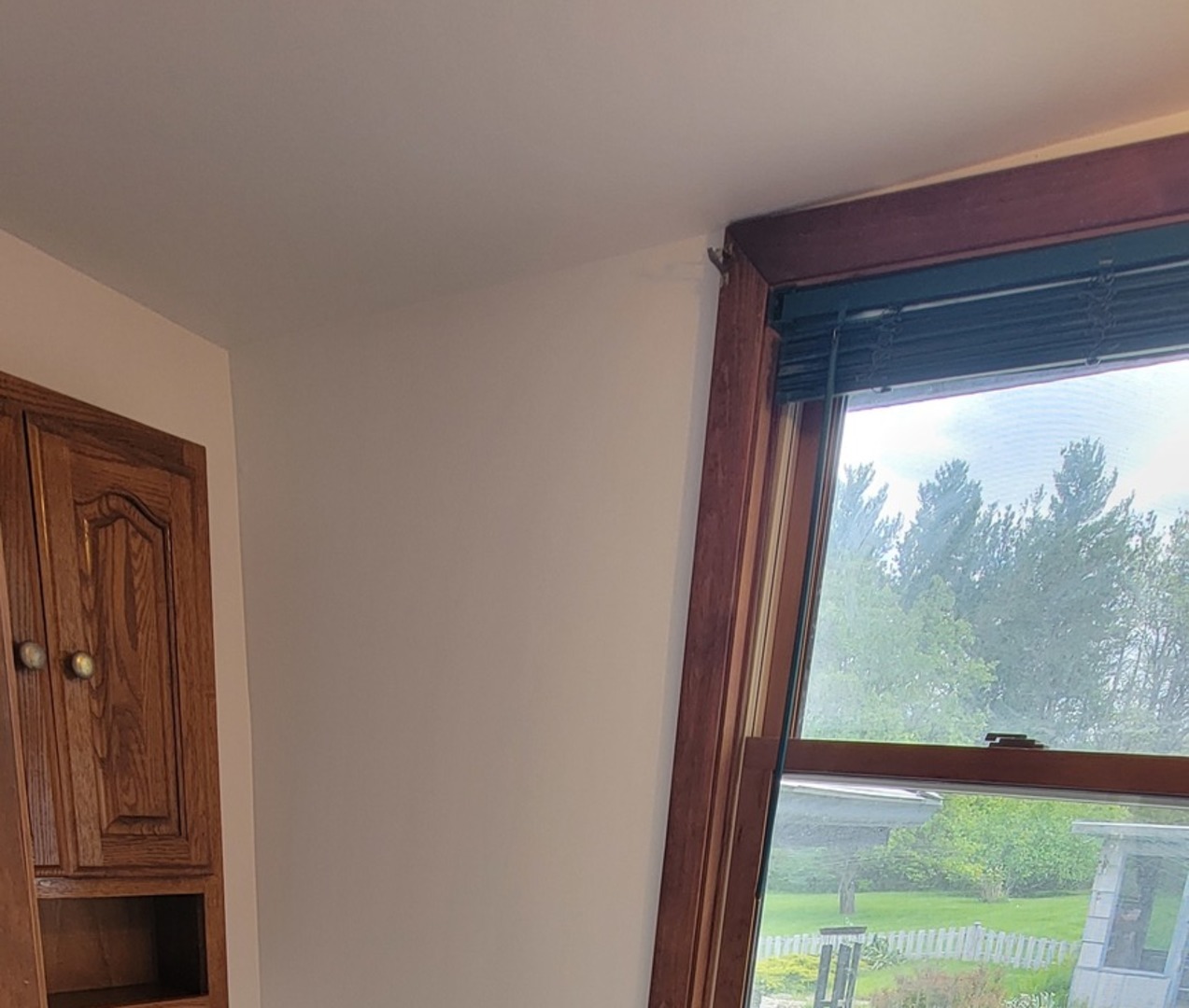 24049 West Grass Lake Road Antioch, IL 60002 - Photo 19 of 26 a view of a window