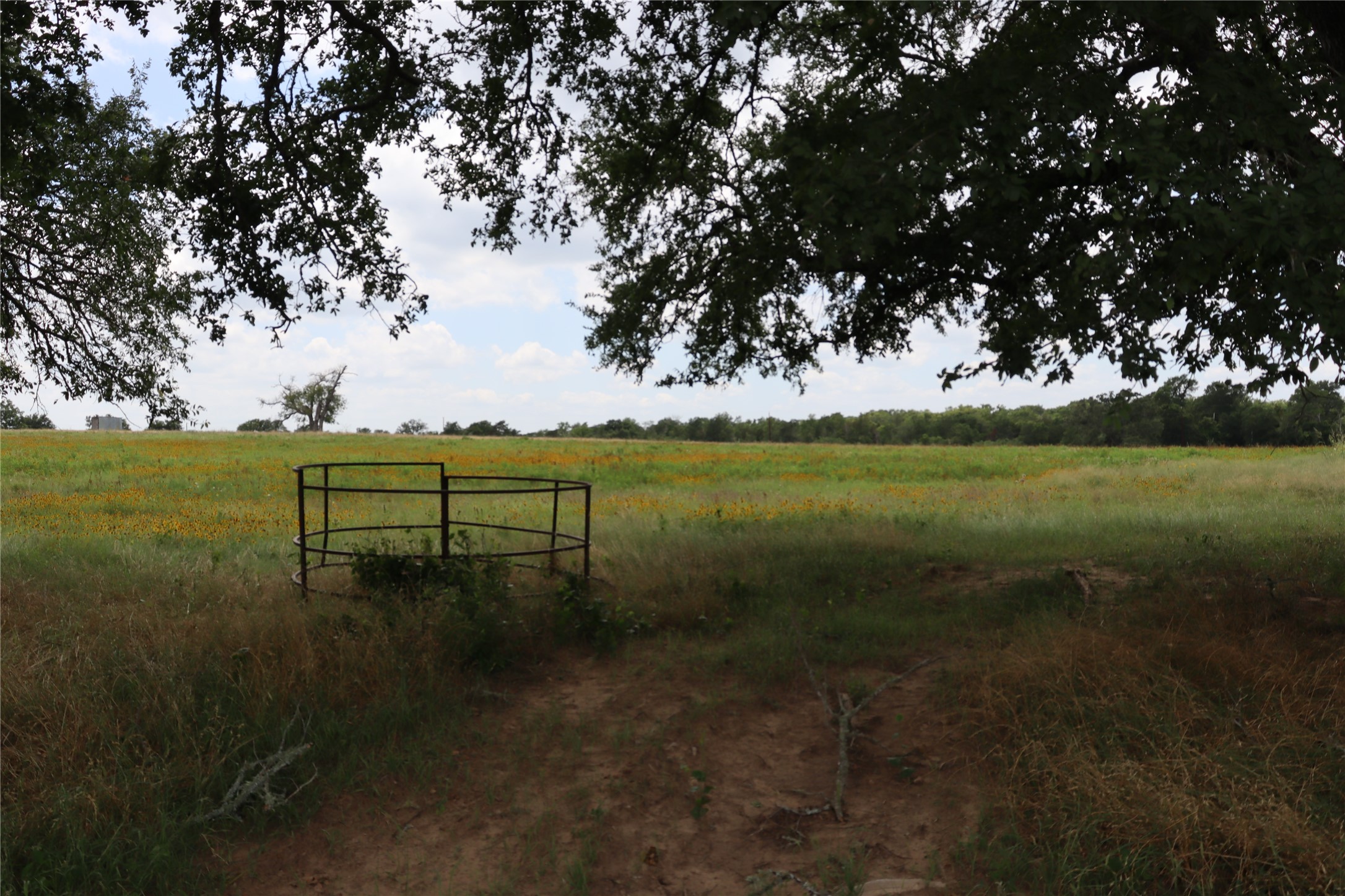174 Wilson Road, Unit A Elgin, TX 78621 - Photo 24 of 34 a view of a lake with a yard