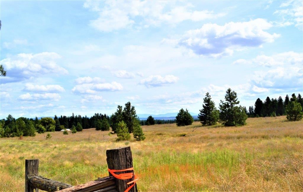 0 Dartford - 9141 Road, Unit 37192 9141 Colbert, WA 99005 - Photo 12 of 19 Gallery Image 12