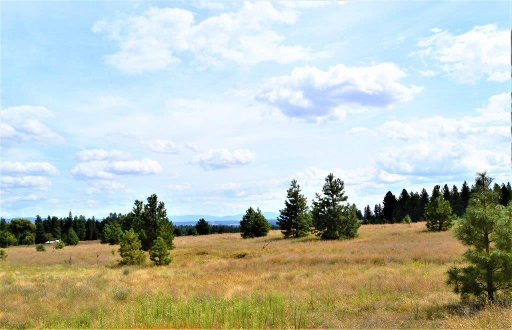 0 Dartford - 9141 Road, Unit 37192 9141 Colbert, WA 99005 - Photo 13 of 19 Gallery Image 13