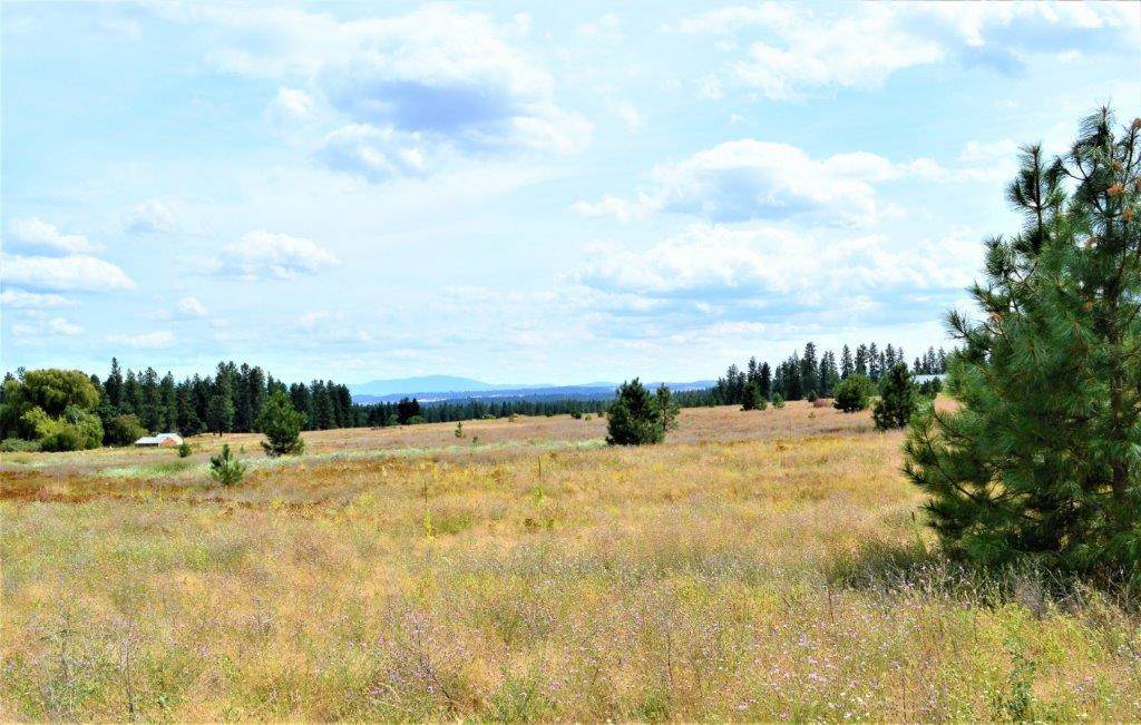 0 Dartford - 9141 Road, Unit 37192 9141 Colbert, WA 99005 - Photo 14 of 19 Gallery Image 14