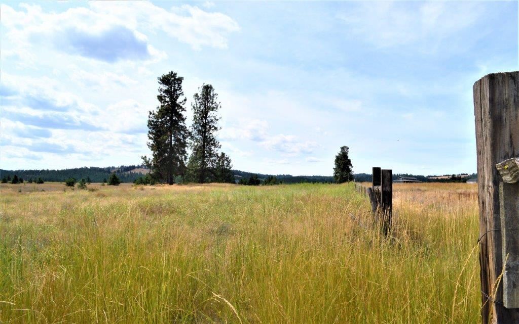 0 Dartford - 9141 Road, Unit 37192 9141 Colbert, WA 99005 - Photo 17 of 19 Gallery Image 17