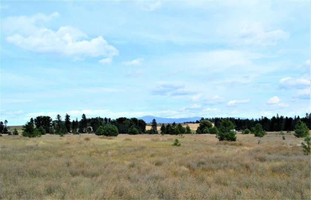 0 Dartford - 9141 Road, Unit 37192 9141 Colbert, WA 99005 - Photo 5 of 19 Gallery Image 5