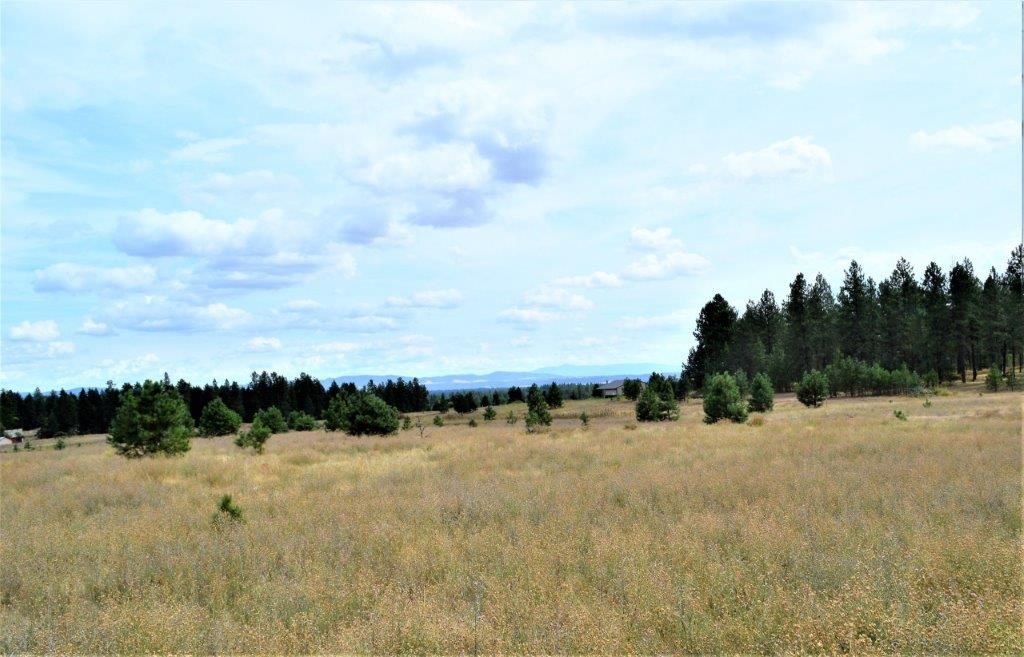 0 Dartford - 9141 Road, Unit 37192 9141 Colbert, WA 99005 - Photo 6 of 19 Gallery Image 6