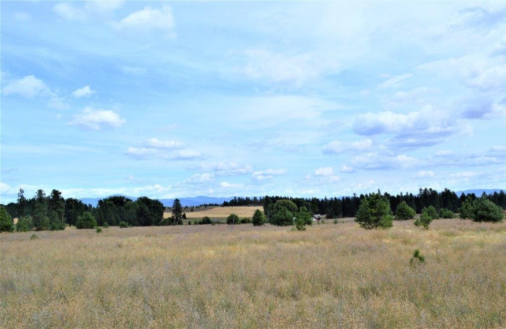 0 Dartford - 9141 Road, Unit 37192 9141 Colbert, WA 99005 - Photo 7 of 19 Gallery Image 7