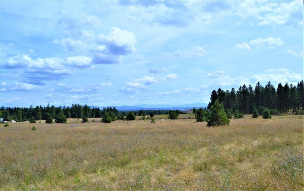 0 Dartford - 9141 Road, Unit 37192 9141 Colbert, WA 99005 - Photo 9 of 19 Gallery Image 9