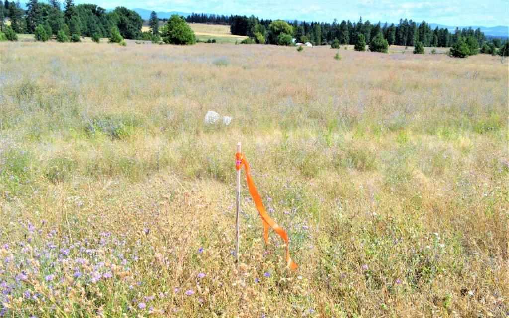 0 Dartford - 9141 Road, Unit 37192 9141 Colbert, WA 99005 - Photo 10 of 19 Gallery Image 10
