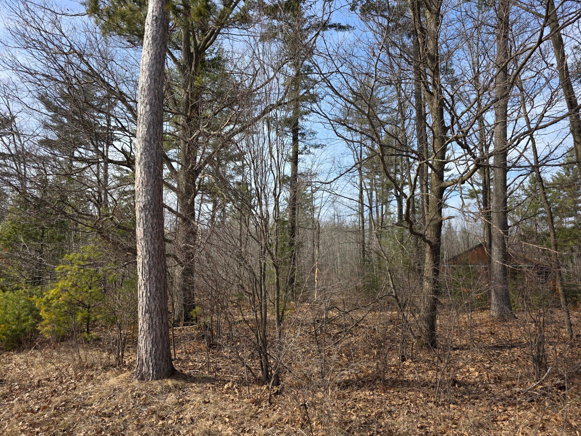 Off Herb Mitchell Road Tomahawk, WI 54487 - Photo 15 of 25 Gallery Image 15
