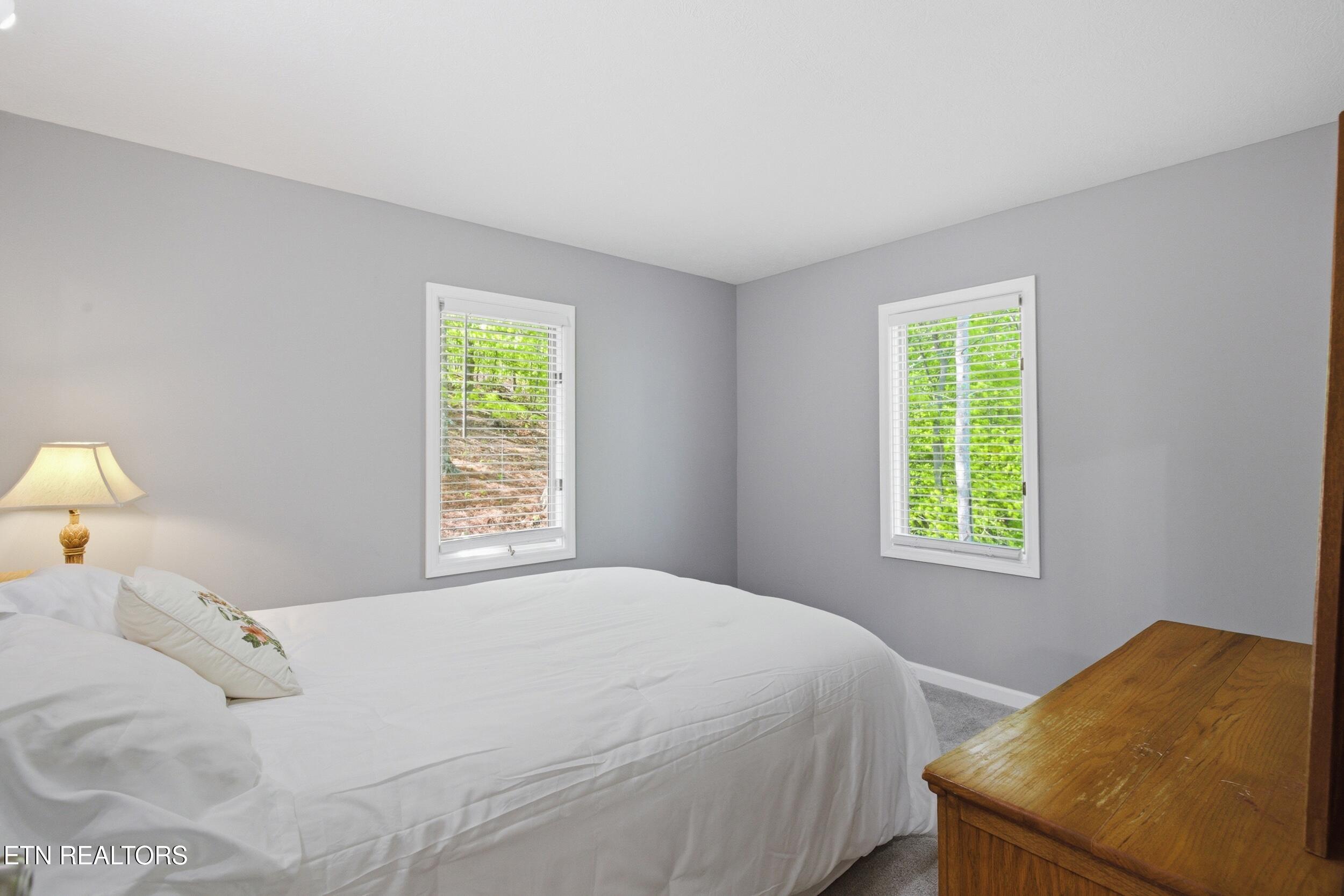 183 Ridgeview Circle Sharps Chapel, TN 37866 - Photo 20 of 47 41_183_ridgeview_cir_0058