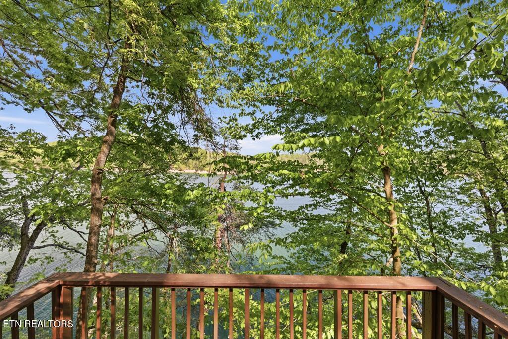 183 Ridgeview Circle Sharps Chapel, TN 37866 - Photo 38 of 47 image_3