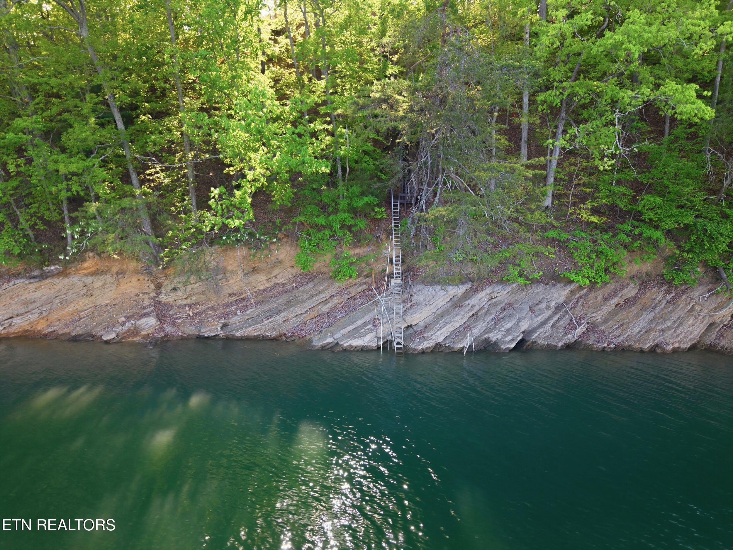 183 Ridgeview Circle Sharps Chapel, TN 37866 - Photo 40 of 47 19_183_ridgeview_cir_0015