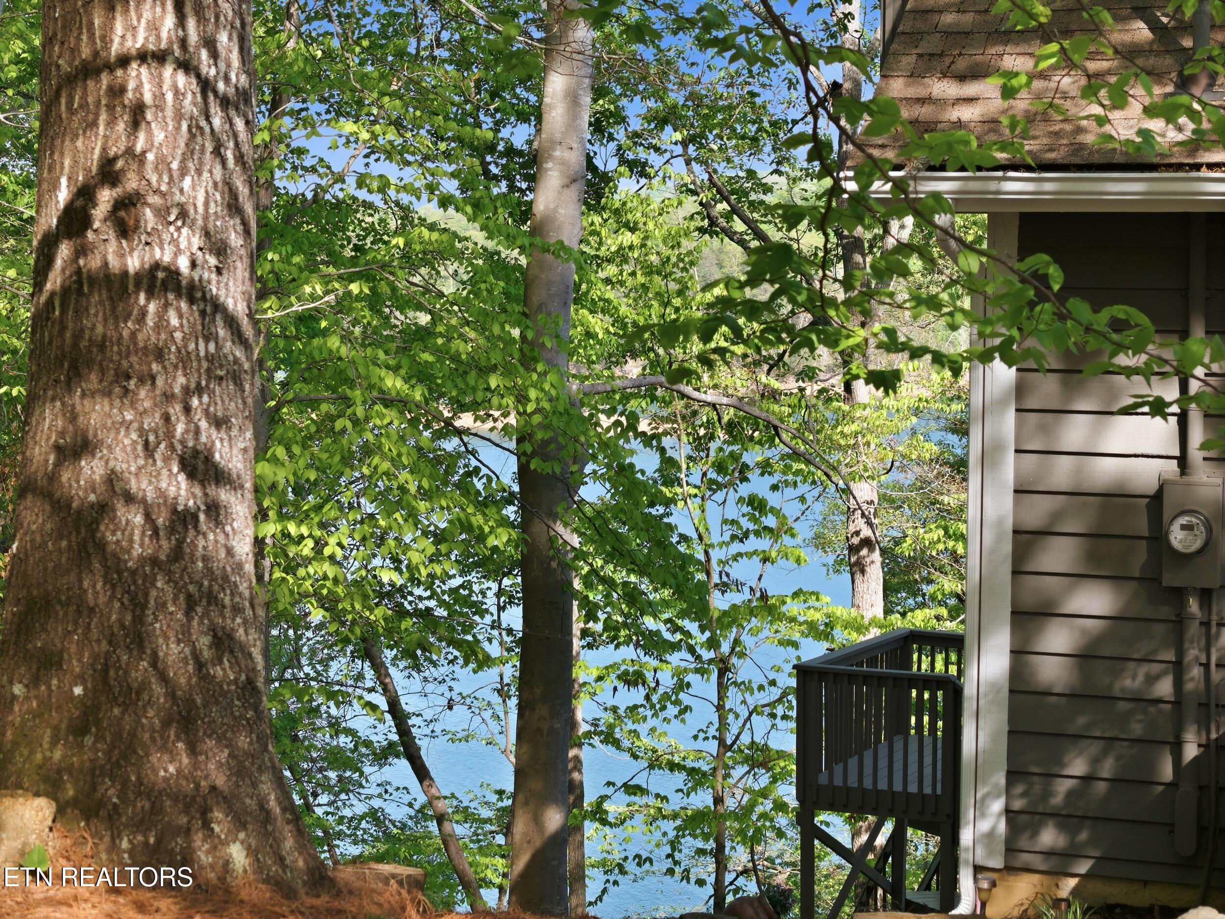 183 Ridgeview Circle Sharps Chapel, TN 37866 - Photo 5 of 47 7_183_ridgeview_cir_0006