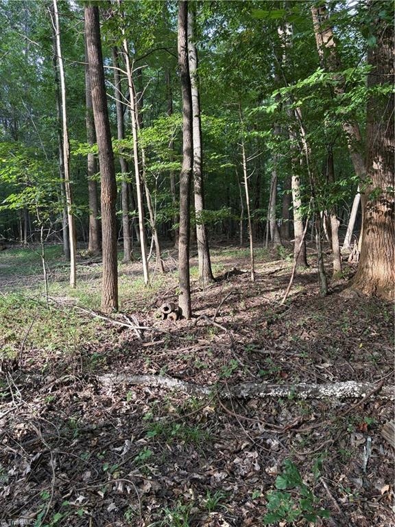 7149 Nature Road Liberty, NC 27298 - Photo 2 of 7