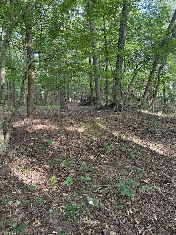 7149 Nature Road Liberty, NC 27298 - Photo 3 of 7