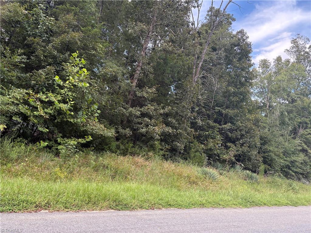 7149 Nature Road Liberty, NC 27298 - Photo 6 of 7