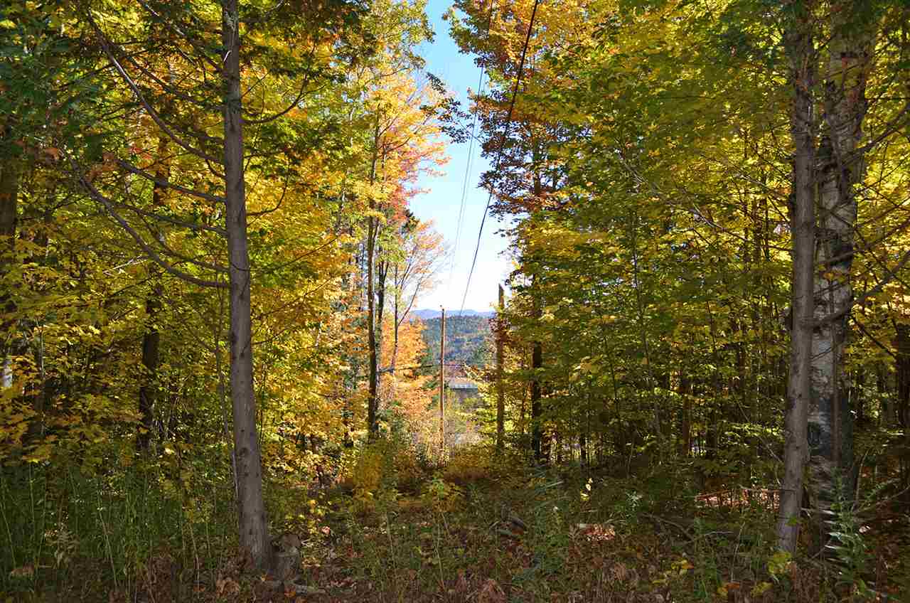 28 Trailside Road Ludlow, VT 05149 - Photo 4 of 39 Gallery Image 4