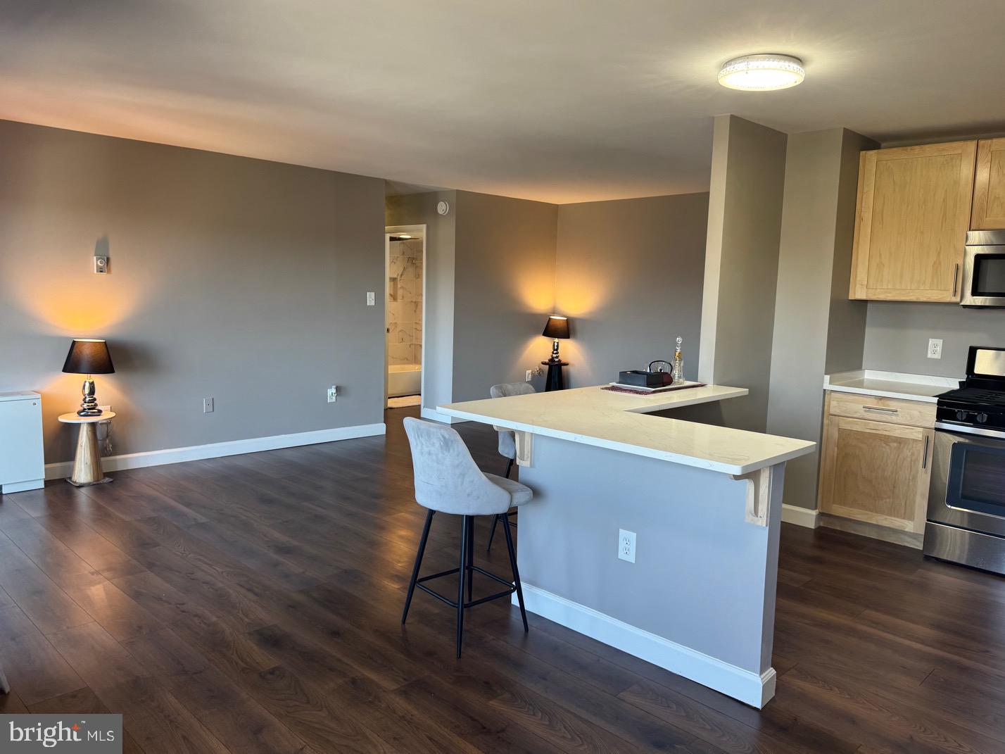 8830 Piney Branch Road, Unit 803 Silver Spring, MD 20903 - Photo 13 of 47