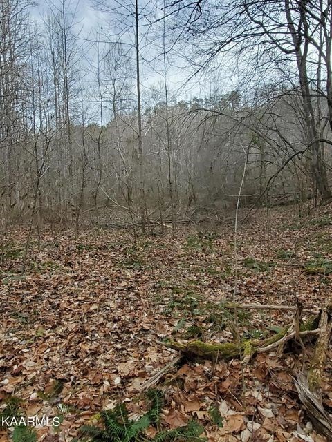 0 Dripping Springs Road Seymour, TN 37865 - Photo 8 of 32 Gallery Image 8