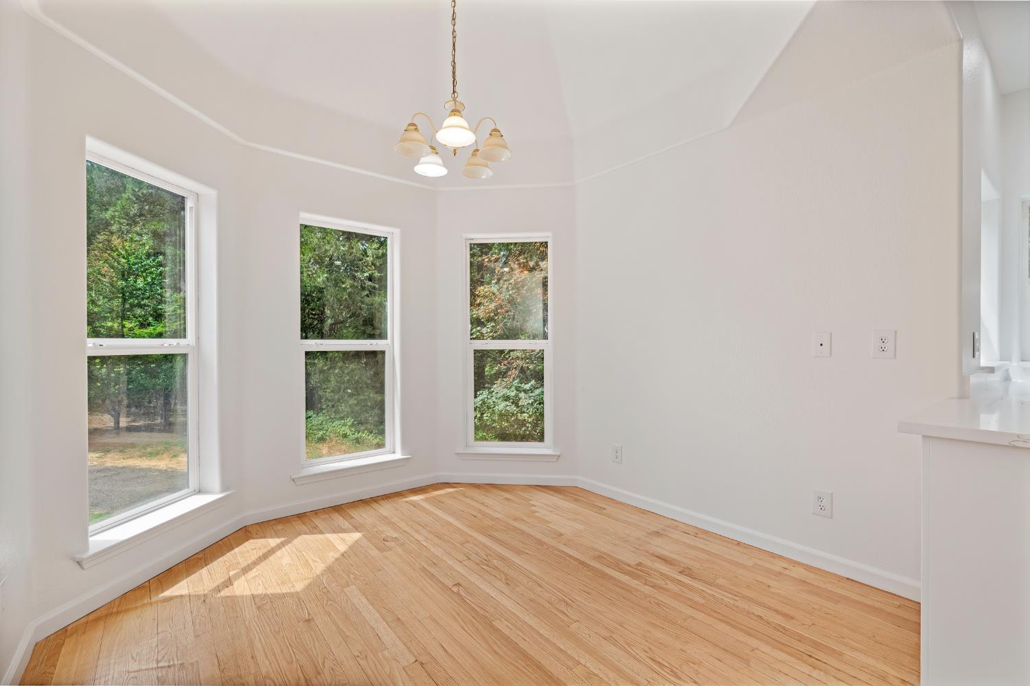 33833 Jovan Road Alta, CA 95701 - Photo 13 of 51 Gallery Image 13