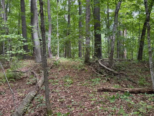 $299,000 | W2373 Blackhawk Road, Birchwood, WI 54870