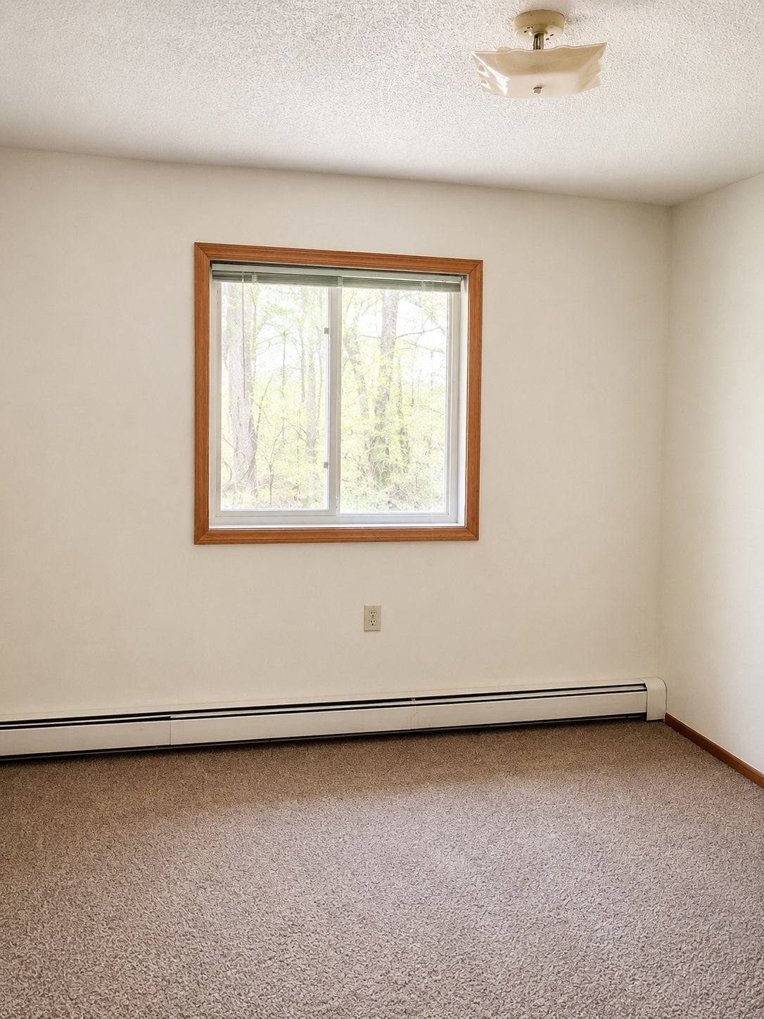 6717 Old Sawmill Road, Unit 101 Harris, MN 55032 - Photo 4 of 9