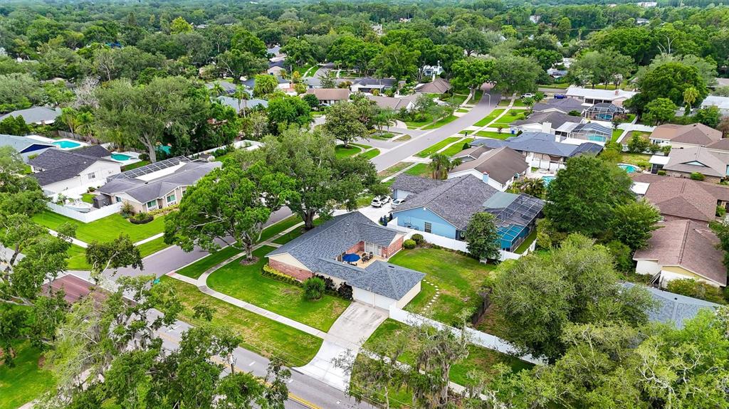 11816 Lipsey Road Tampa, FL 33618 - Photo 44 of 50