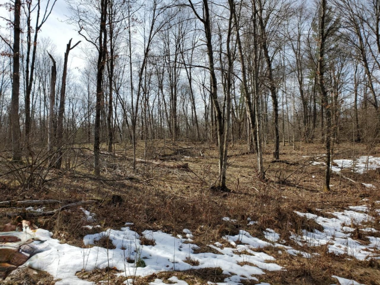 V-2 Boltwood Road Chase, MI 49623 - Photo 2 of 2 Gallery Image 2
