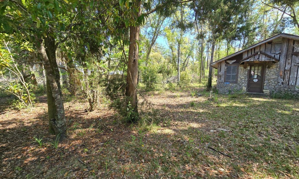 1764 Dice Road Perry, FL 32348 - Photo 13 of 34