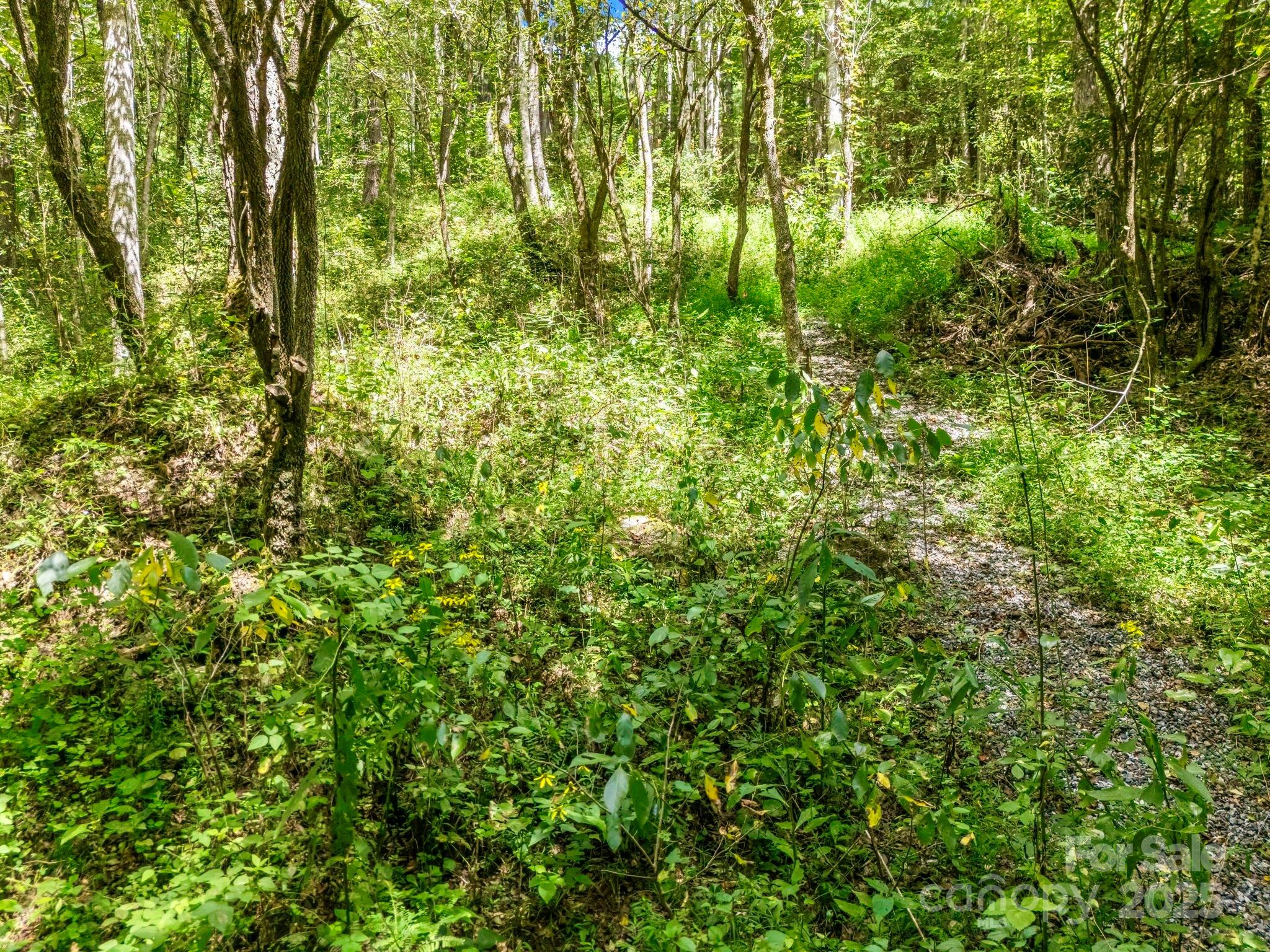 6022 Low Country Road Lenoir, NC 28645 - Photo 6 of 48 Gallery Image 6