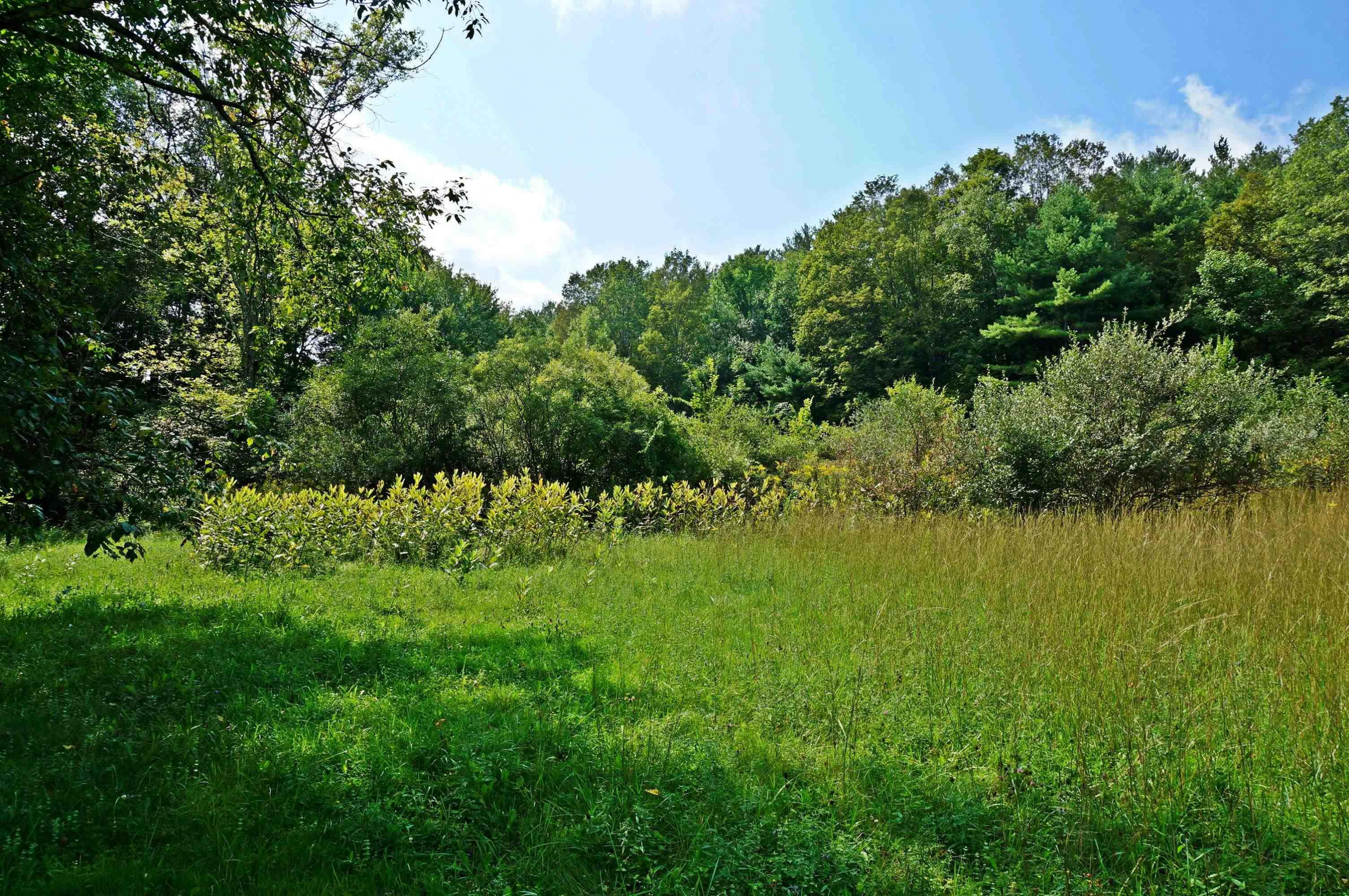 425 Camden Valley Road Salem, NY 12873 - Photo 41 of 45 Photo 41