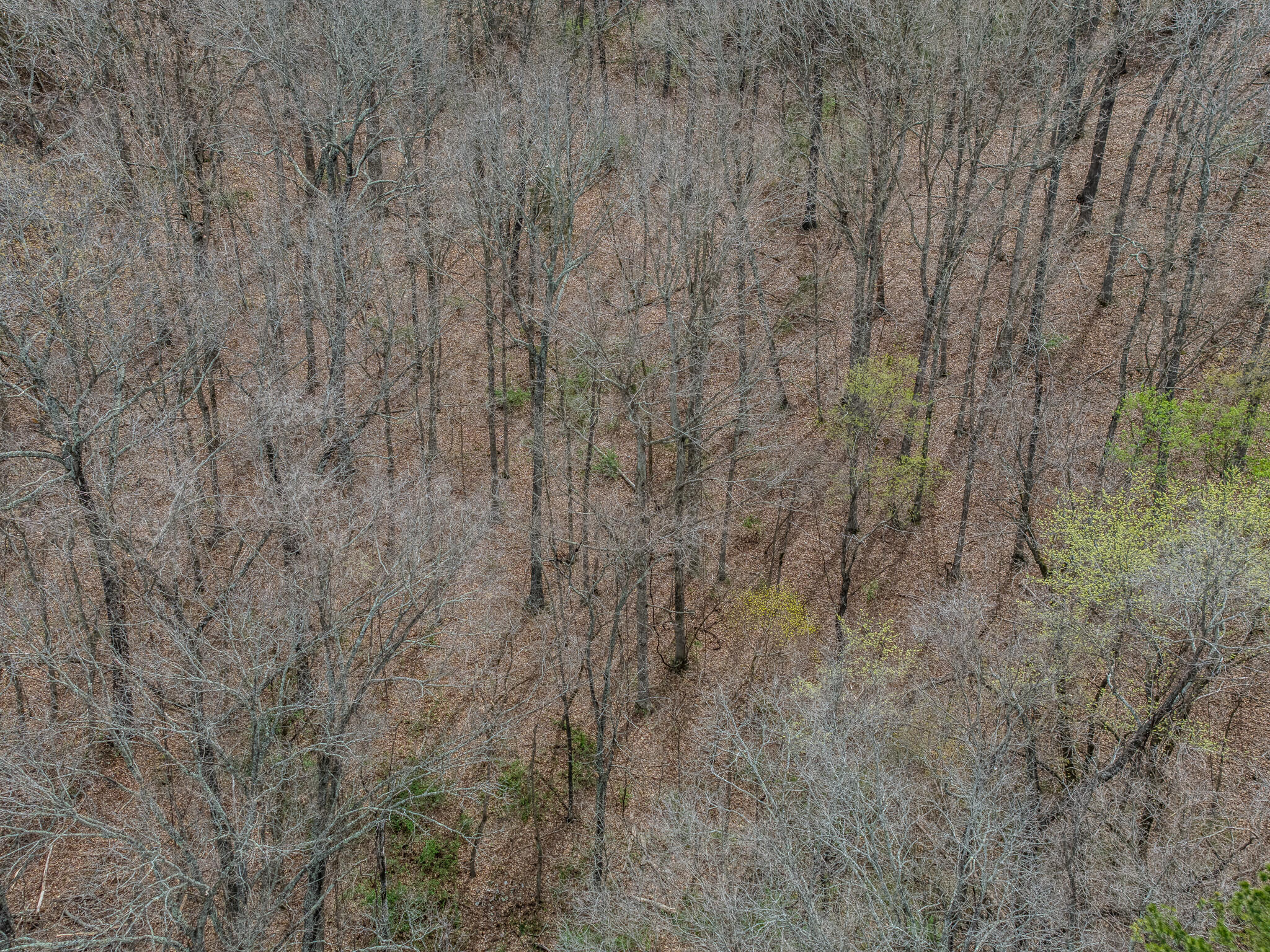 0 Oak Hl Road Houston, MO 65483 - Photo 17 of 21 Aerial