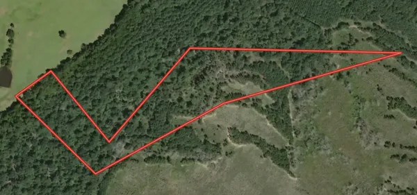 a view of a small park with wooden stairs