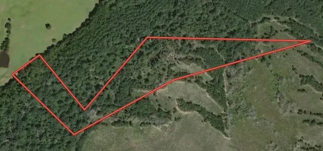 a view of a small park with wooden stairs