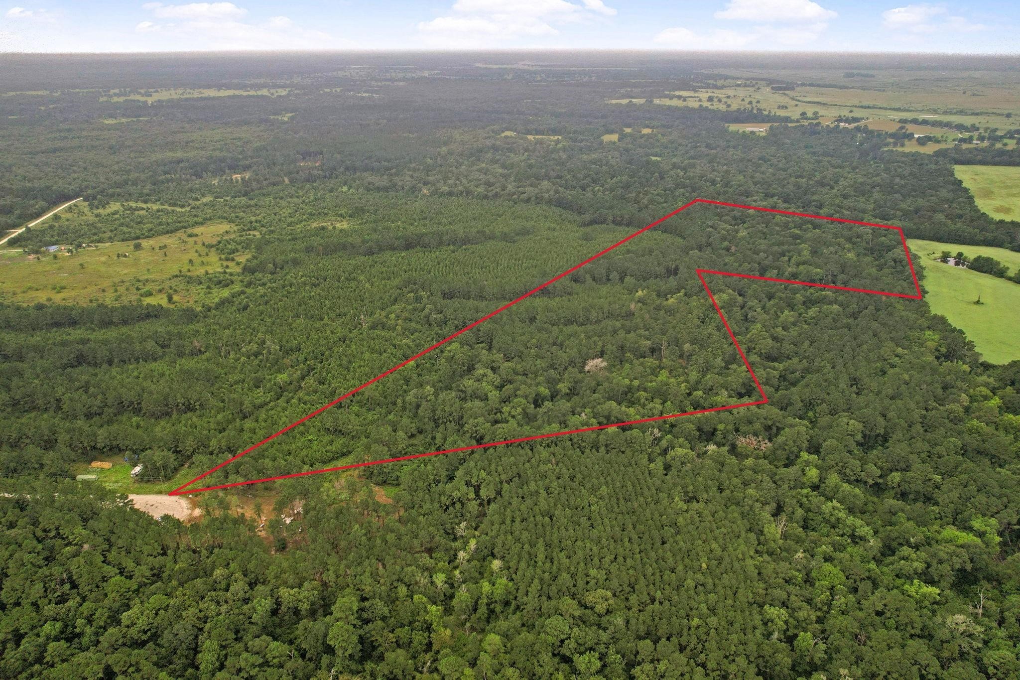 12 B F M 230 Trinity, TX 75862 - Photo 8 of 11 a view of a lake with a city