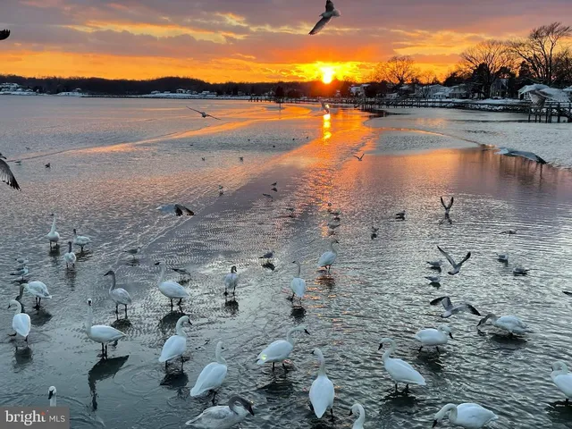 $650,000 | 6021 Melbourne Avenue, Deale, MD 20751