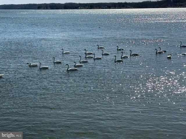 $650,000 | 6021 Melbourne Avenue, Deale, MD 20751