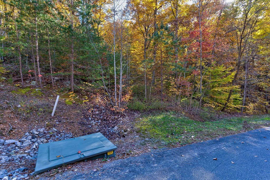 58 Harvest Moon Road Sevierville, TN 37862 - Photo 10 of 18 Gallery Image 10