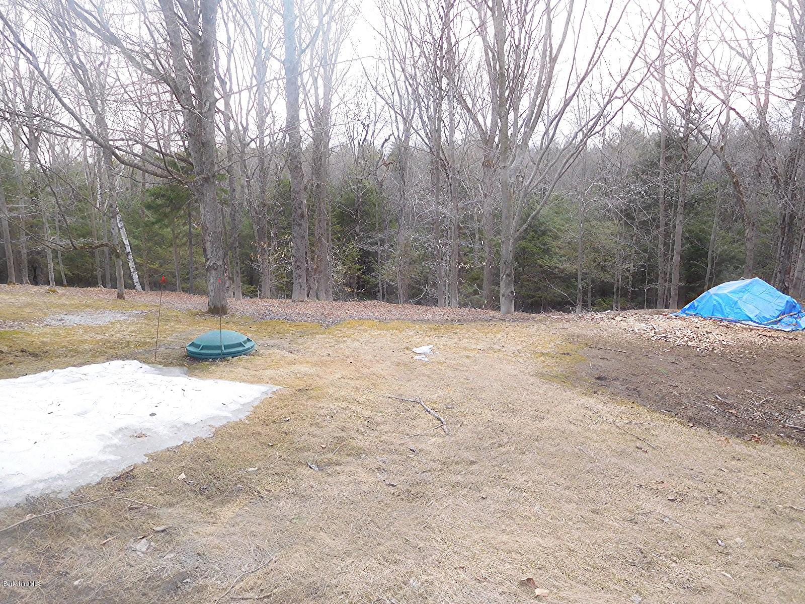 126 George Schnopp Road Hinsdale, MA 01235 - Photo 31 of 32 4---Yard